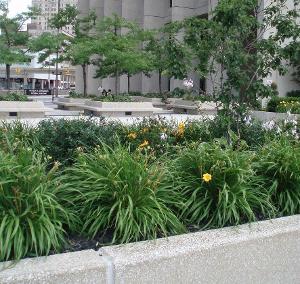 Long shot of McNamara Federal Plaza with flowerbox planters in foreground and building behind